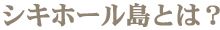 シキホール島とは？