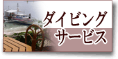 ダイビングサービス